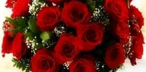 Meet your Posher, Nellie